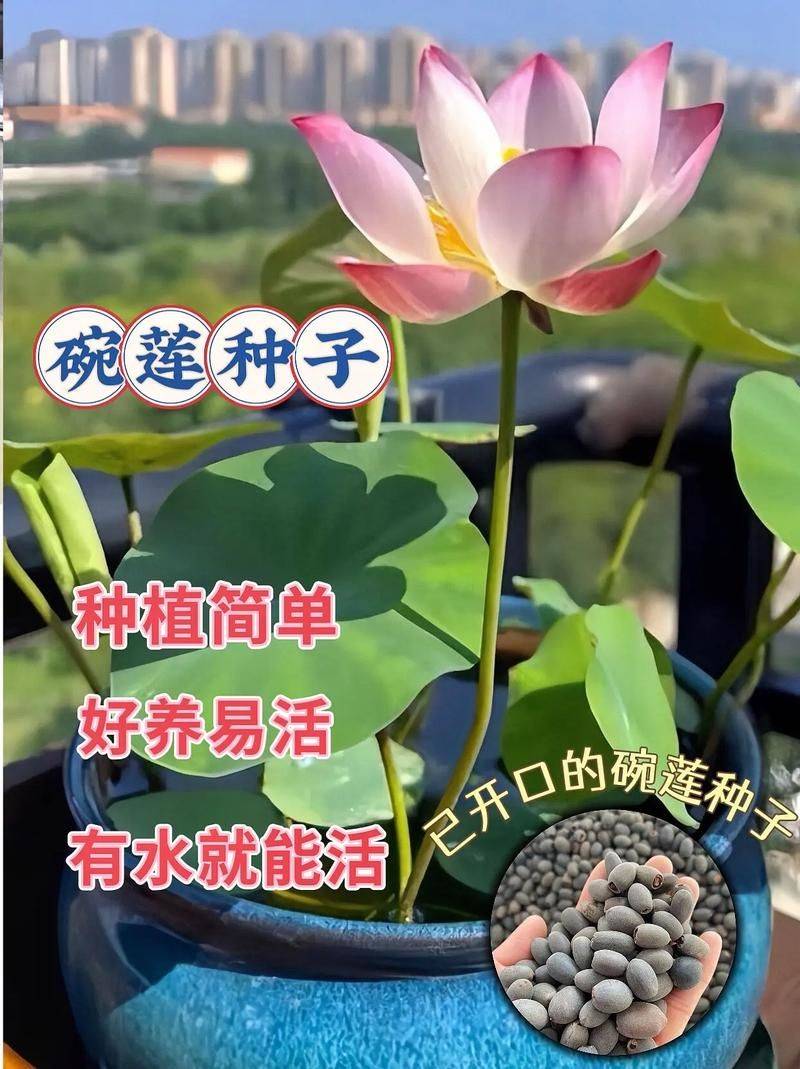 Plantation plant-load seed farming methods
