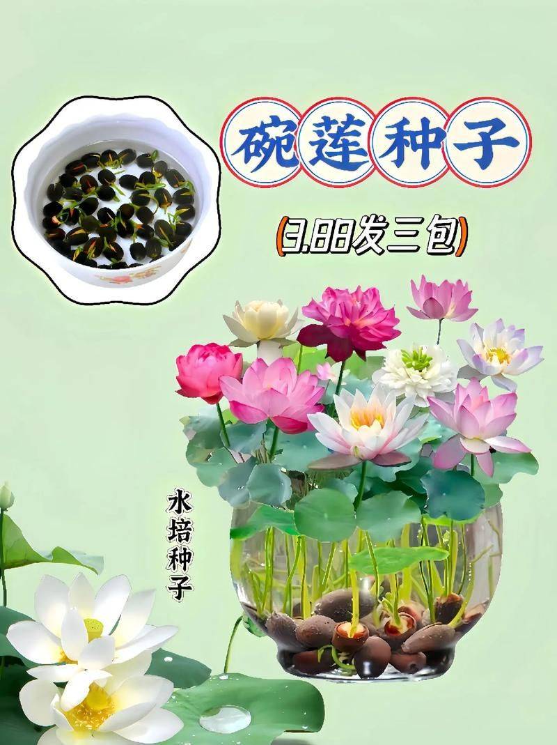 Plantation plant-load seed farming methods