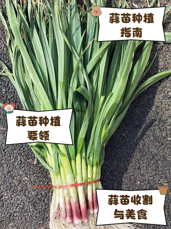 It's not harmful to me