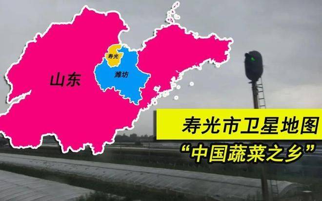 寿光有机蔬菜种植技术