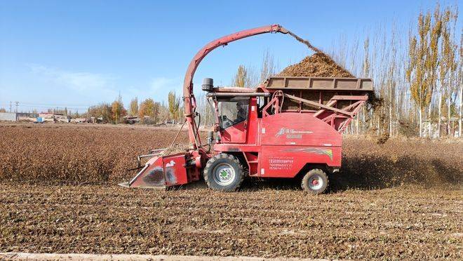 寿光有机蔬菜种植技术