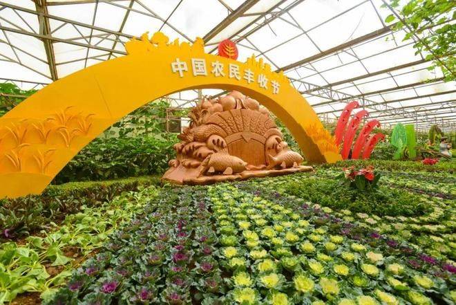 寿光有机蔬菜种植技术