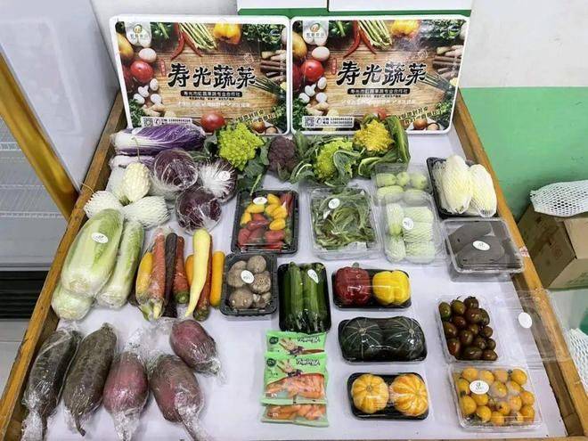 寿光有机蔬菜种植技术