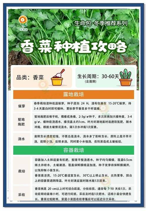 Video of the method of growing the cauliflower