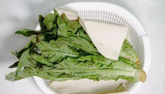 水生菜种植方法