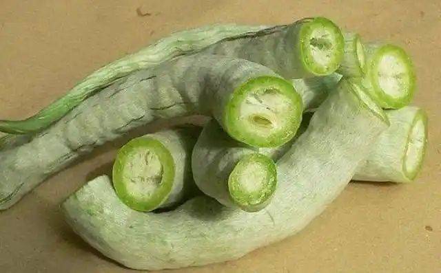 蛇瓜种植时间和方法