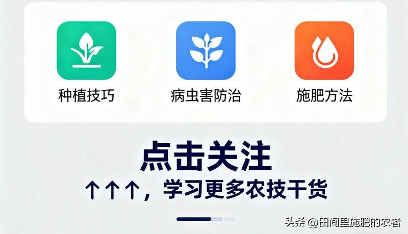 Green sugar cane cultivation methods