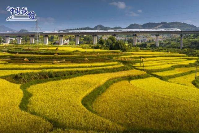 广州到贵阳高铁票价