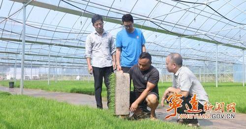 Jilin rice plantation technology video