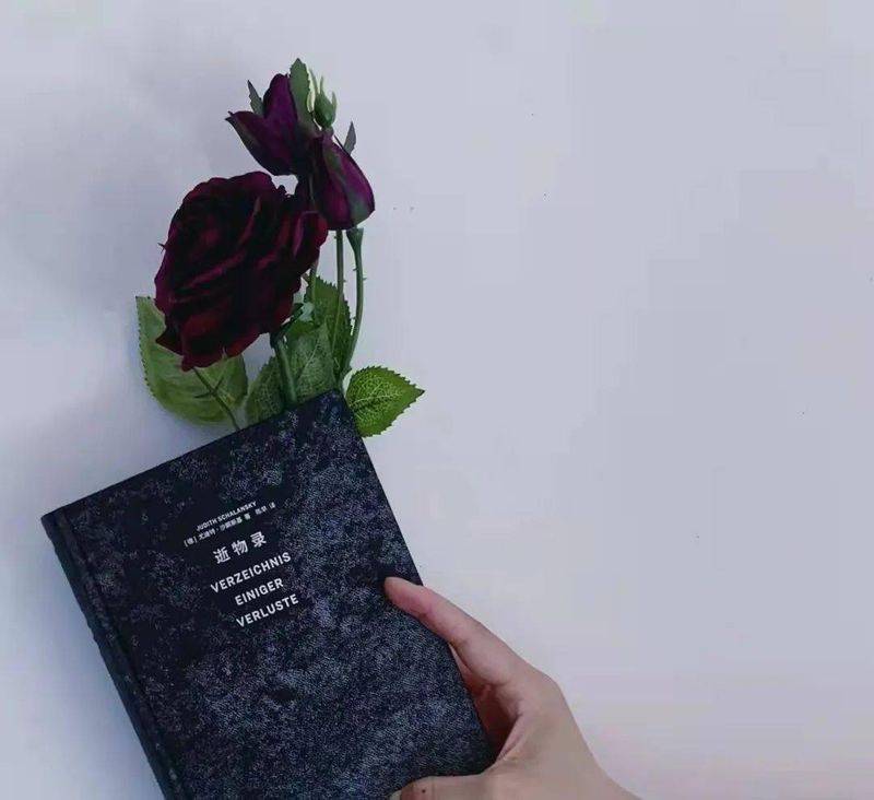 Kupchek emotional theory