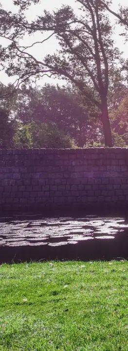 Kupchek emotional theory