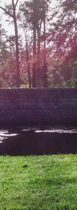 Kupchek emotional theory