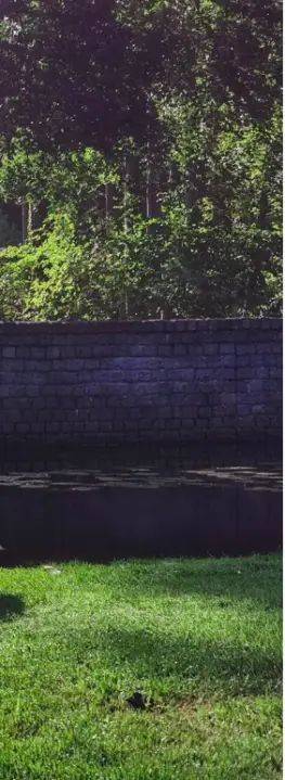 Kupchek emotional theory