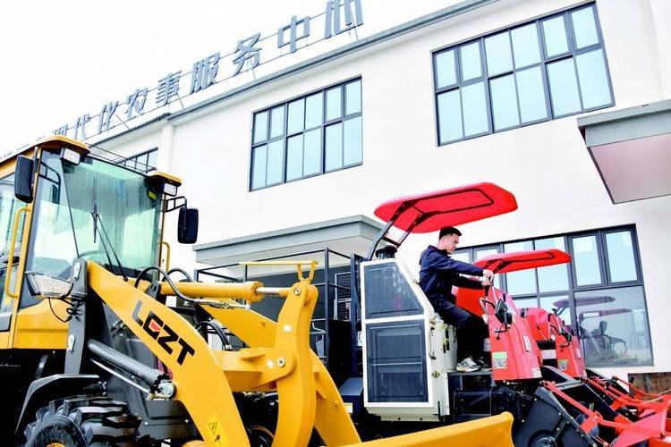 The technology of winter celery cultivation