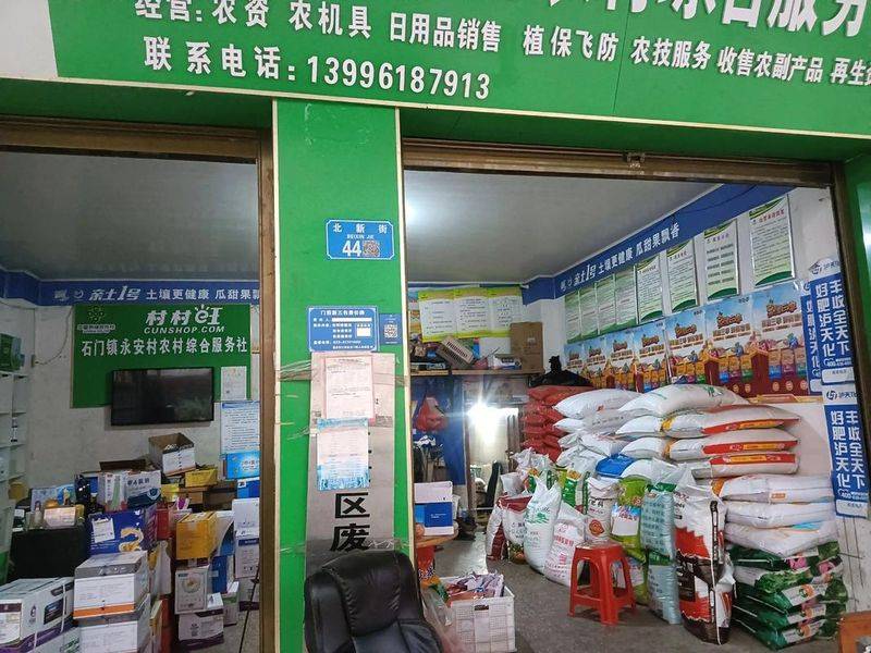 The technology of winter celery cultivation