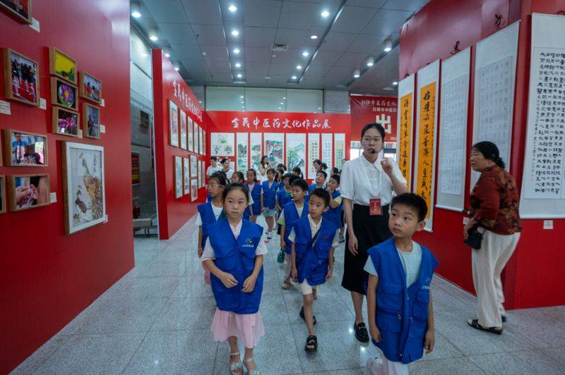 Lecture on chinese medicine services