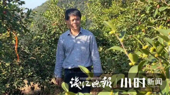 山油茶种植技术