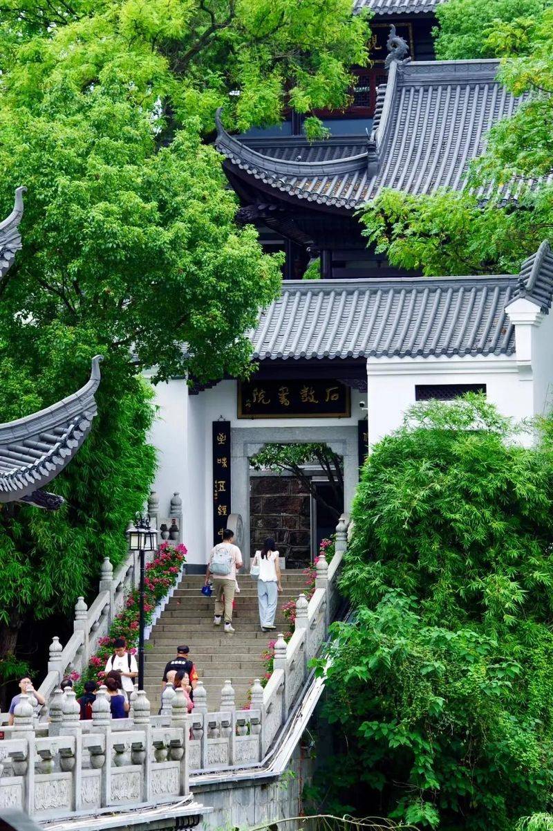 Henan jinyang's man characteristic