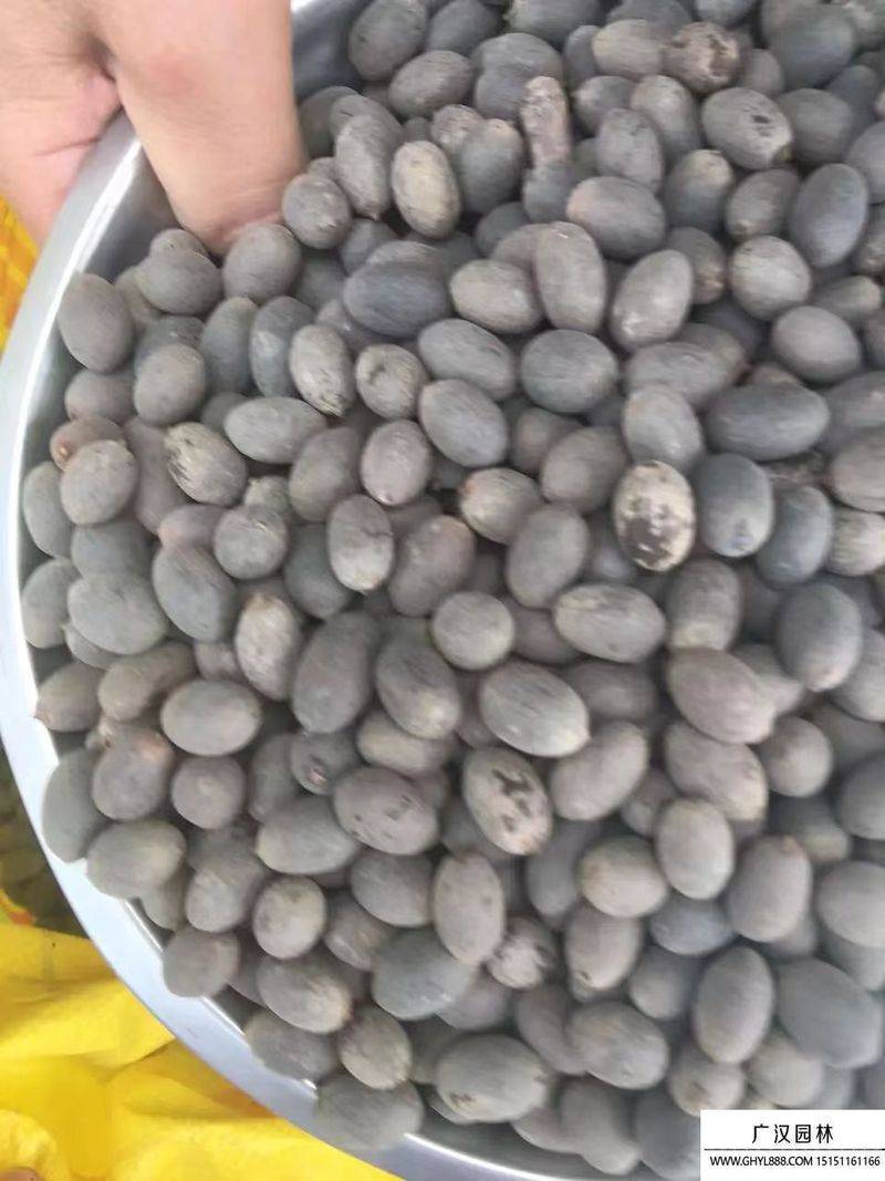 Plantation plant-load seed farming methods