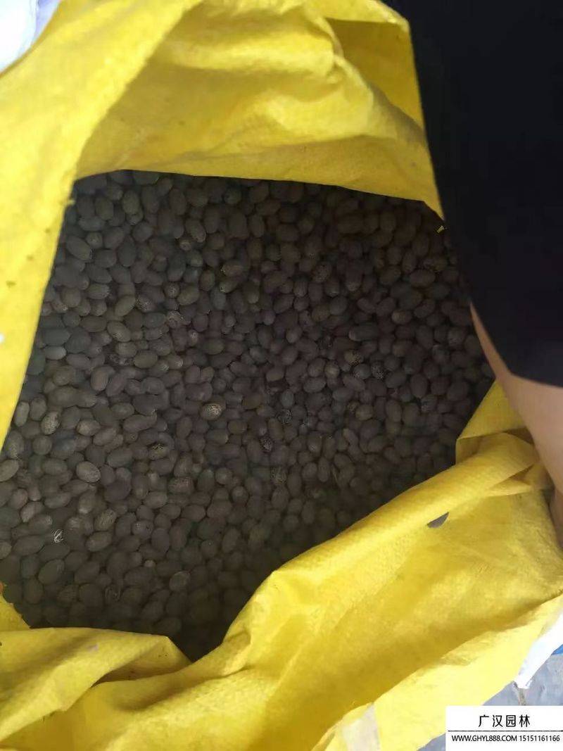 Plantation plant-load seed farming methods