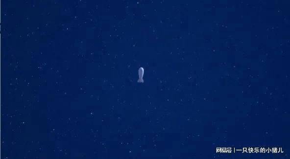 The structure of semi-hardships