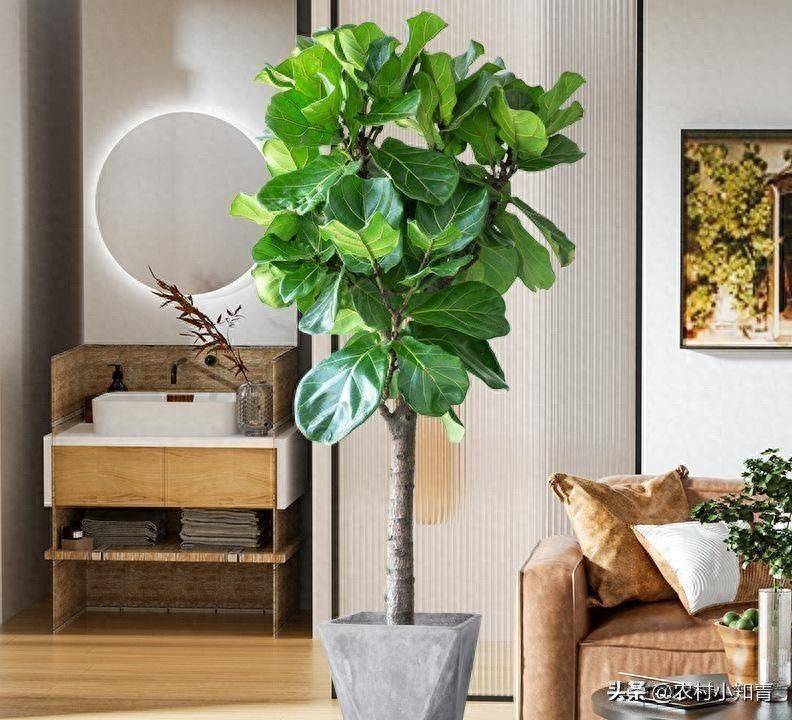 The method of planting the revenue tree