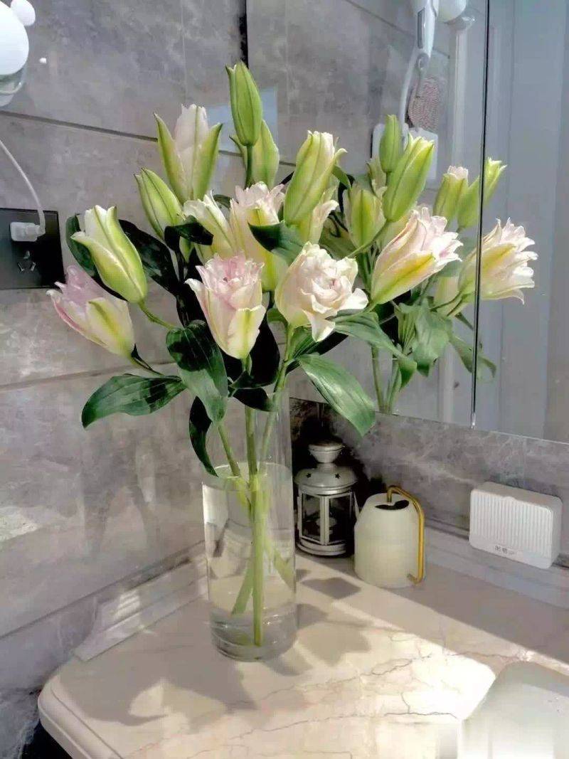 百合花球种植方法