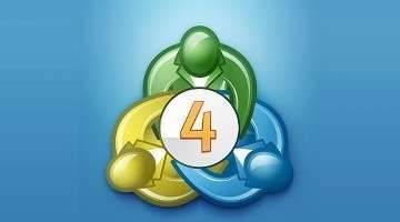 百合花球种植方法