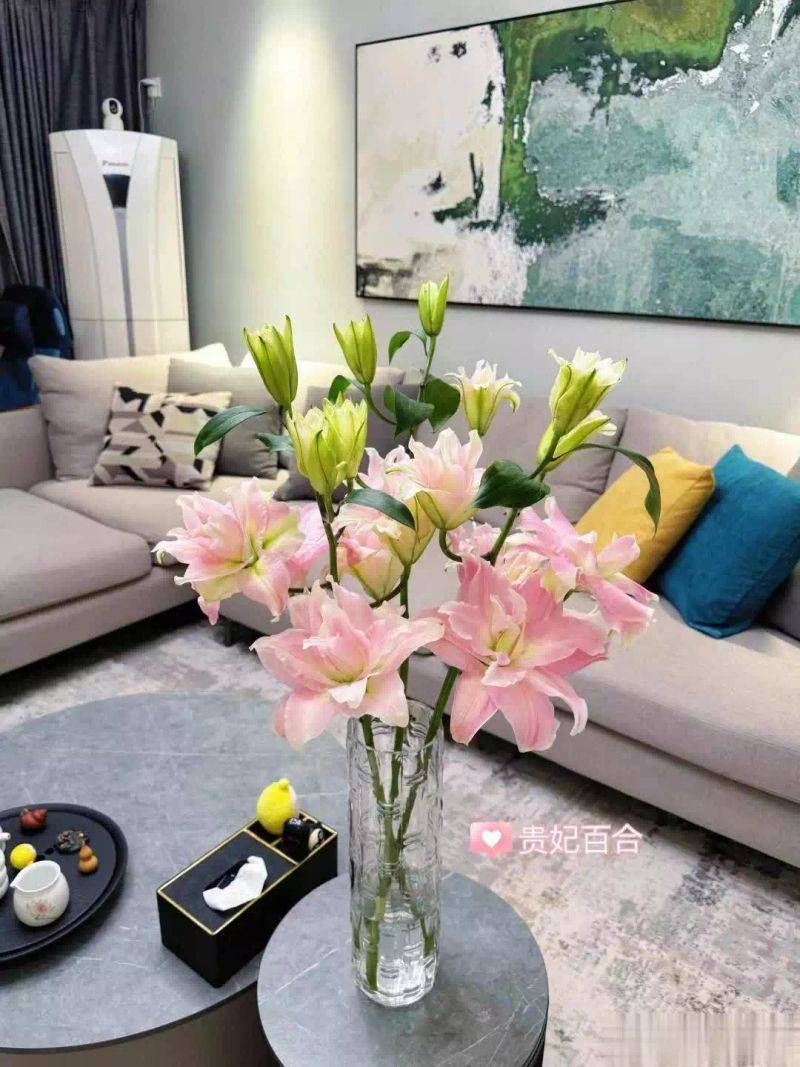 百合花球种植方法