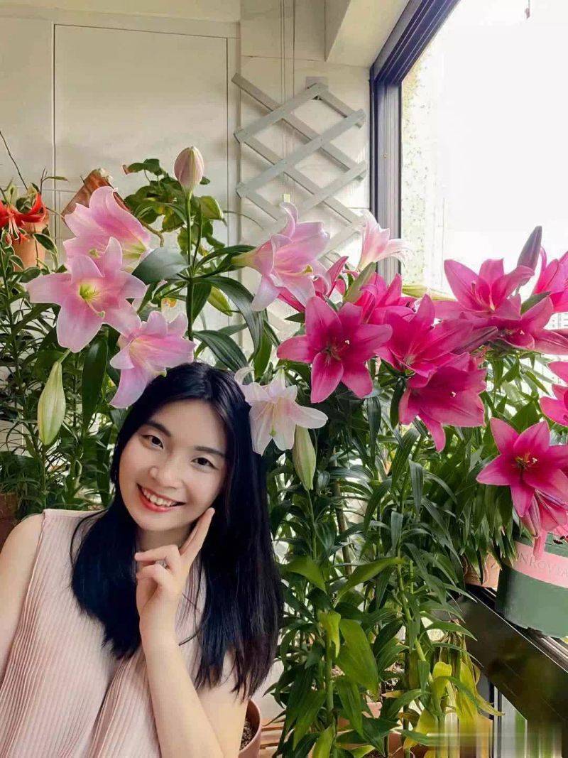 百合花球种植方法