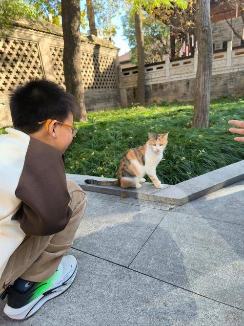 The price of room 2026 in west annan