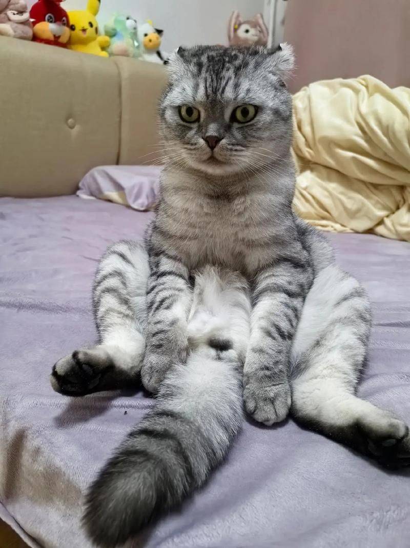 The price of room 2026 in west annan