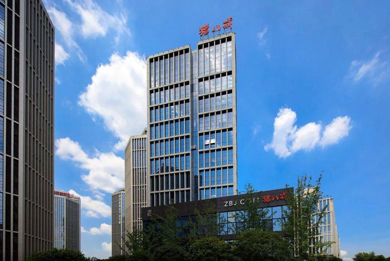 Small and medium soft intellectual property adviser