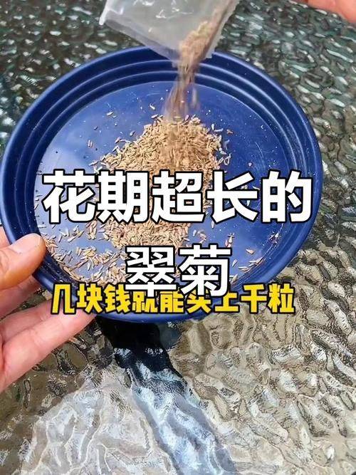 Plantation technology video download