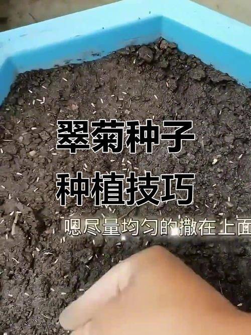 Plantation technology video download