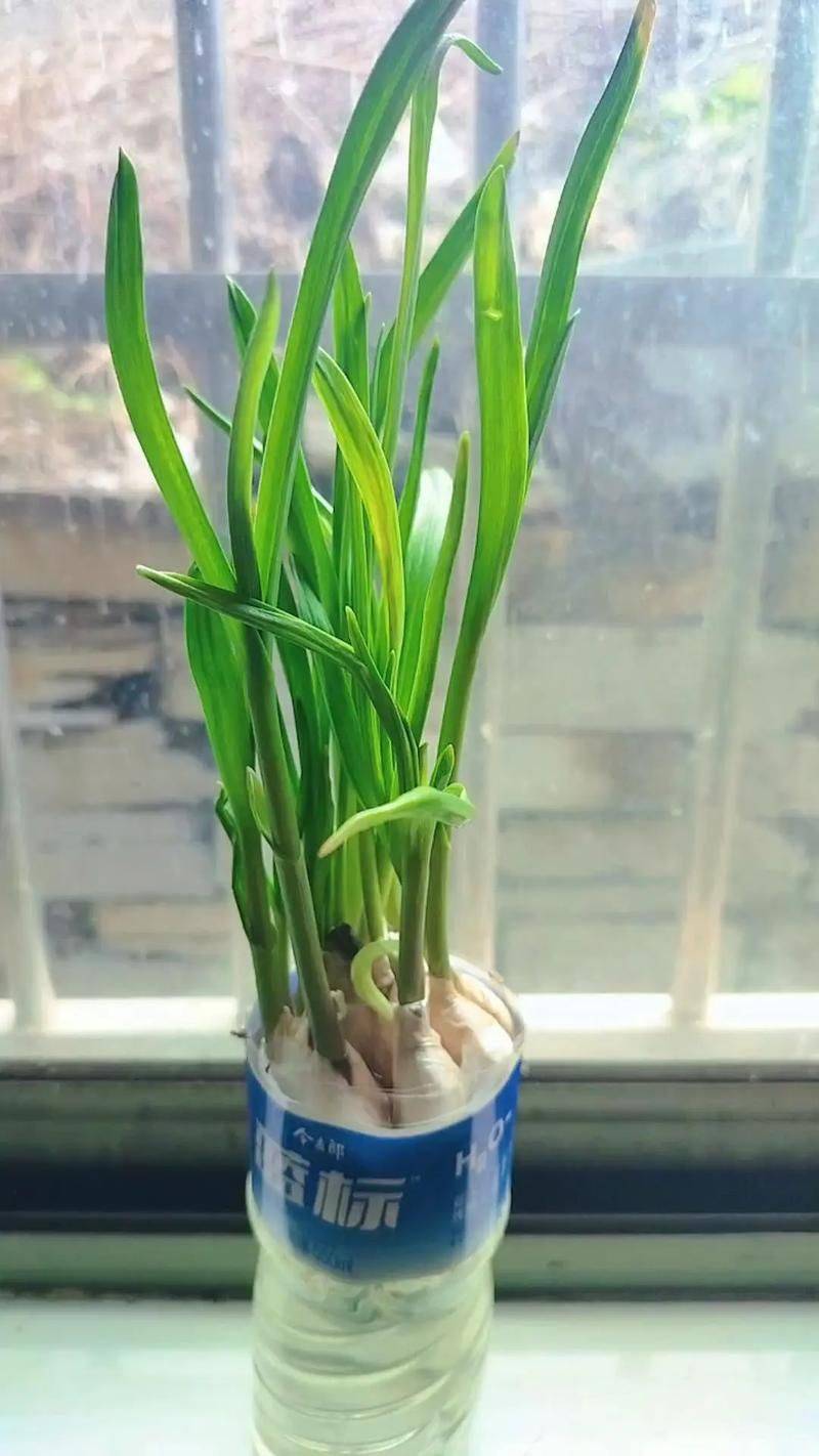 It's not harmful to me