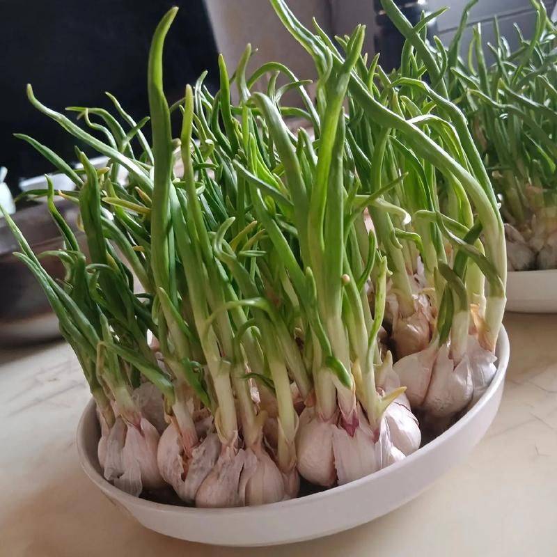 It's not harmful to me