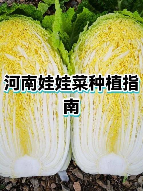 The method of planting dolls