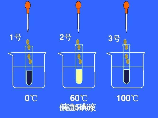 探究温度对酶活性的影响实验步骤
