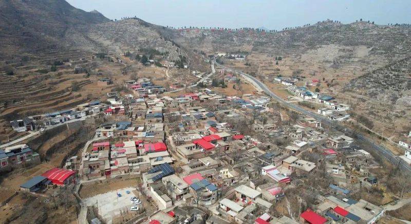 Picture of the method of planting the pepper tree