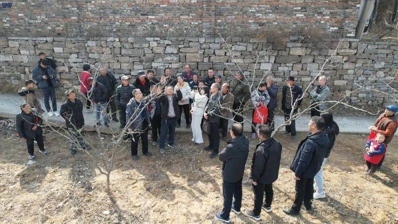 Picture of the method of planting the pepper tree