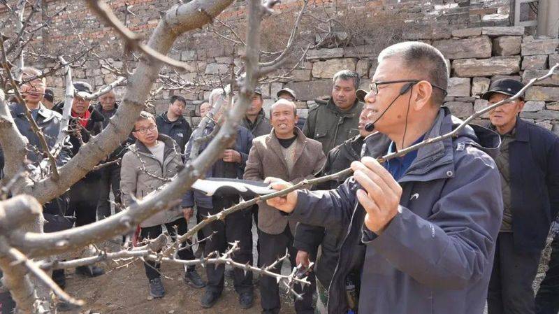 Picture of the method of planting the pepper tree