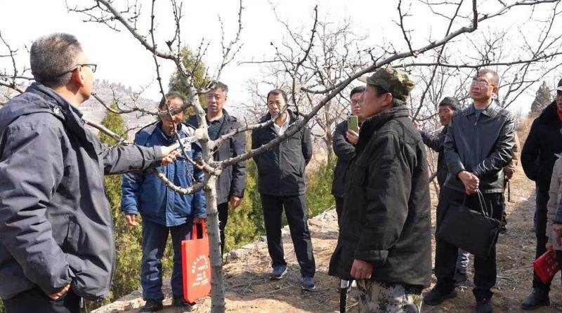 Picture of the method of planting the pepper tree