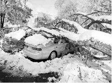 有关大湖效应的成因