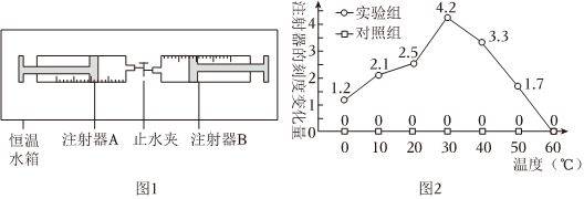 Experimental steps to explore the effects of temperature on enzyme activity