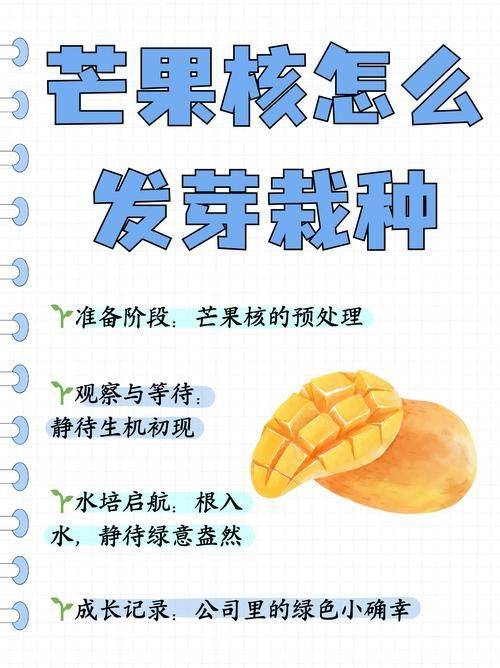 种植技术视频下载