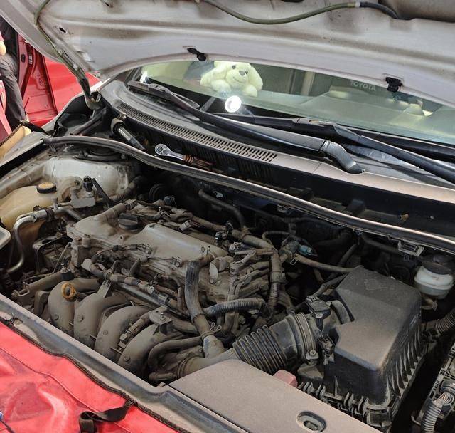 Carola, double-engine car cost