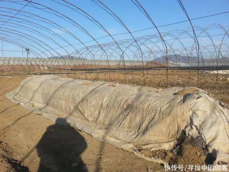 The method of planting dolls