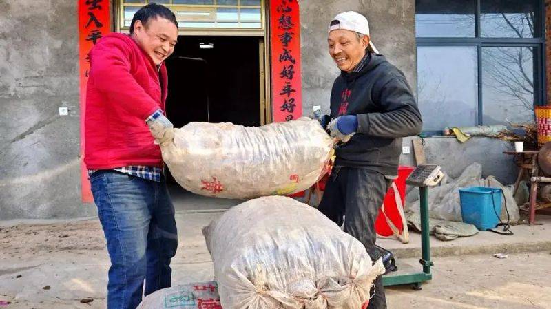 天麻种植技术大全