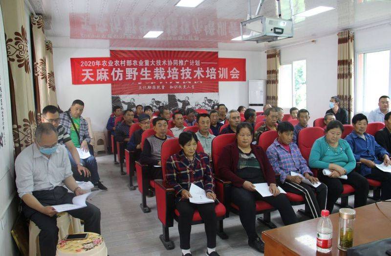 天麻种植技术大全